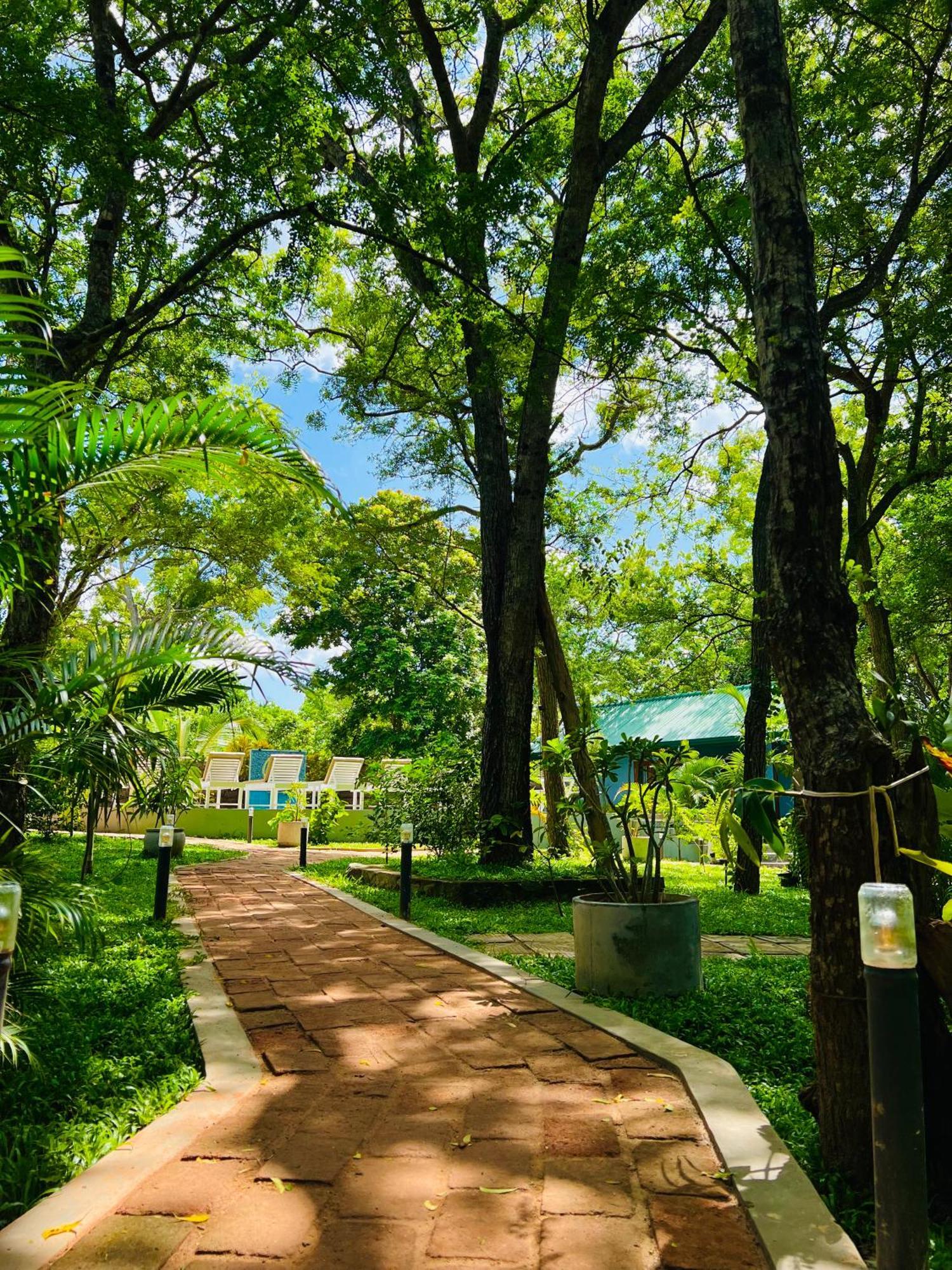 Maritime Nest Cabanas 坦加拉 外观 照片