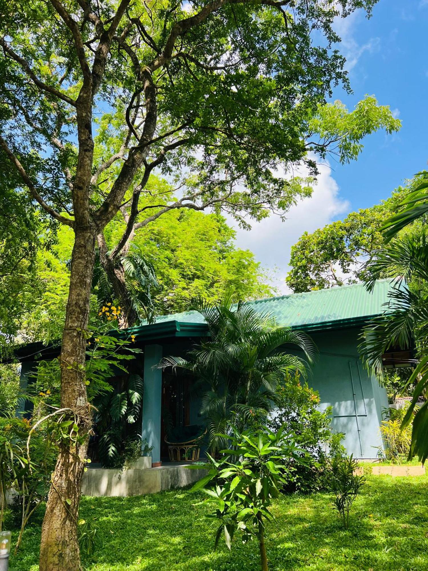 Maritime Nest Cabanas 坦加拉 外观 照片